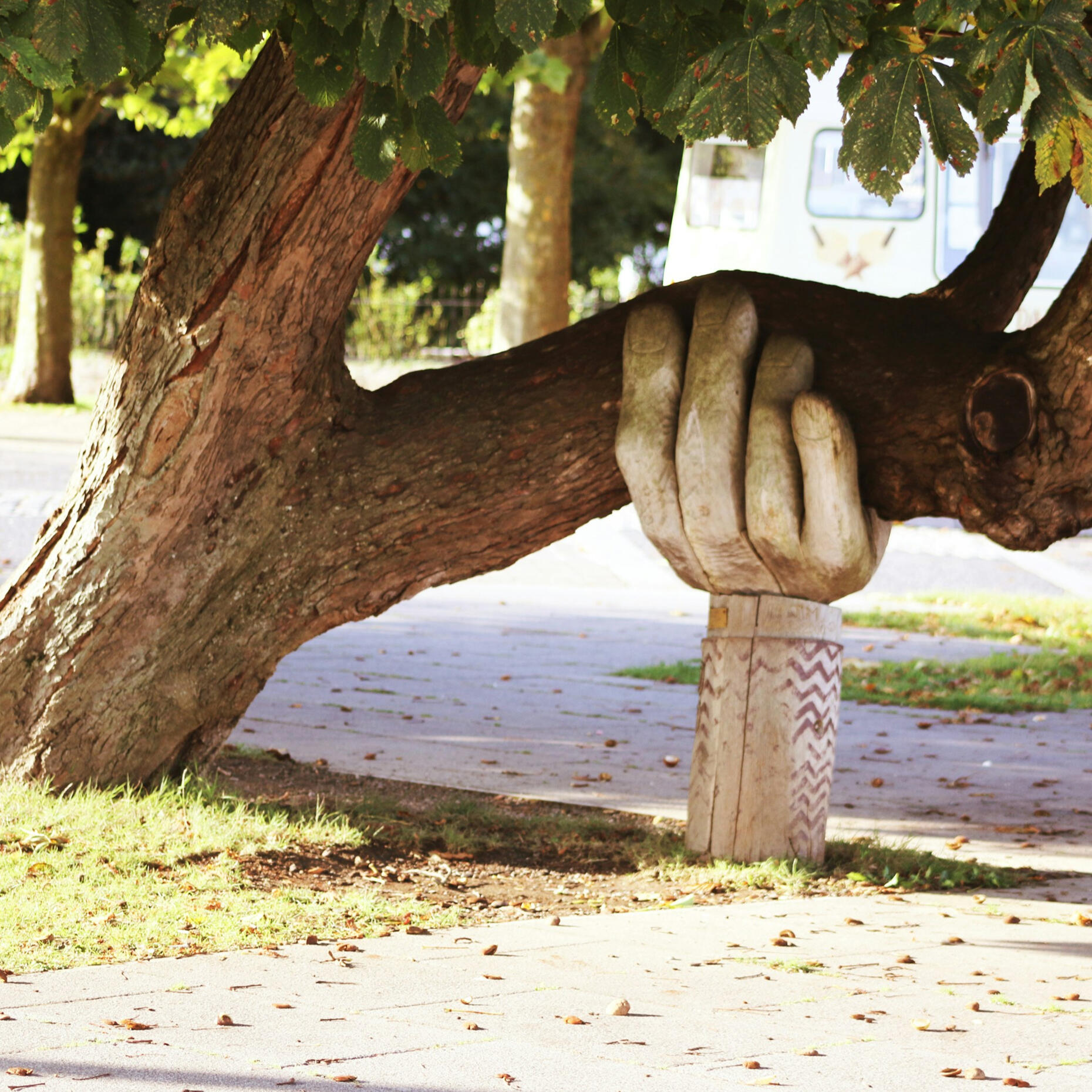 Tree supported by a wooden hand, representing stability, support and the importance of protecting wellbeing